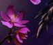 Подарочный набор Rituals The Ritual of Yozakura Medium Gift Set  1759 фото 4