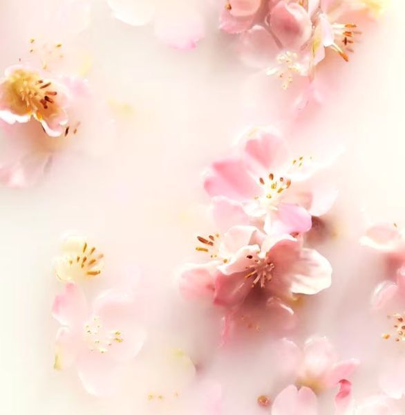 Подарунковий набір Rituals The Ritual of Sakura Medium Gift Set 1734 фото