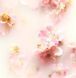 Подарунковий набір Rituals The Ritual of Sakura Medium Gift Set 1734 фото 4